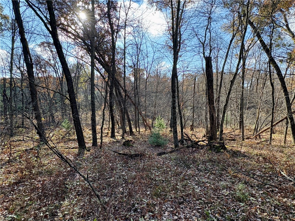 0 N Sand Lane Fairchild WI 54758 1596839 image39