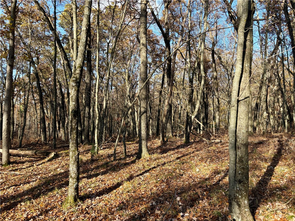 0 N Sand Lane Fairchild WI 54758 1596839 image40