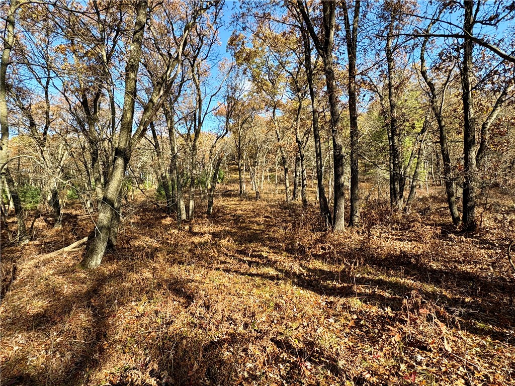 0 N Sand Lane Fairchild WI 54758 1596839 image41