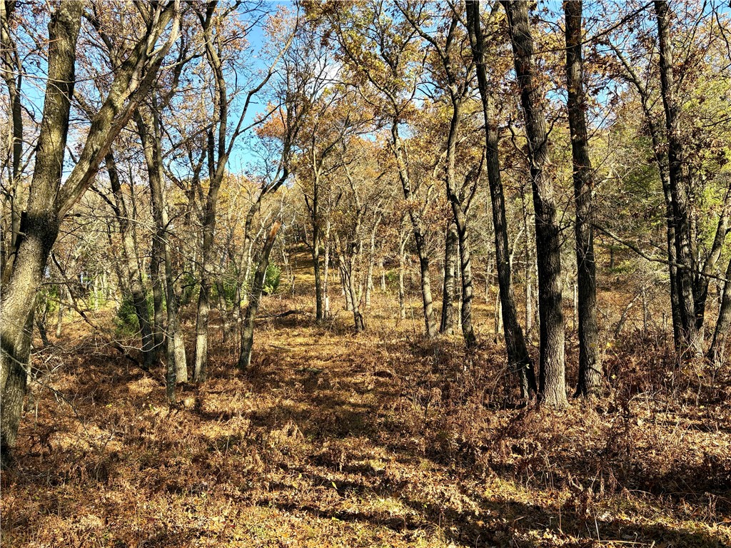 0 N Sand Lane Fairchild WI 54758 1596839 image42