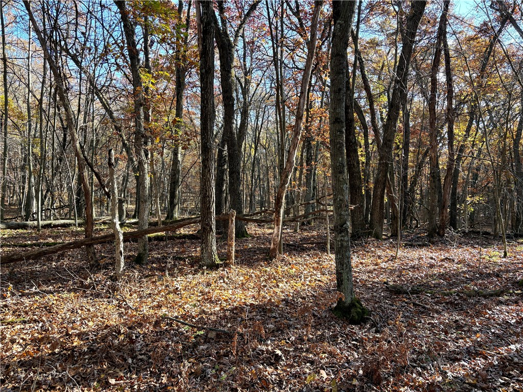 0 N Sand Lane Fairchild WI 54758 1596839 image44