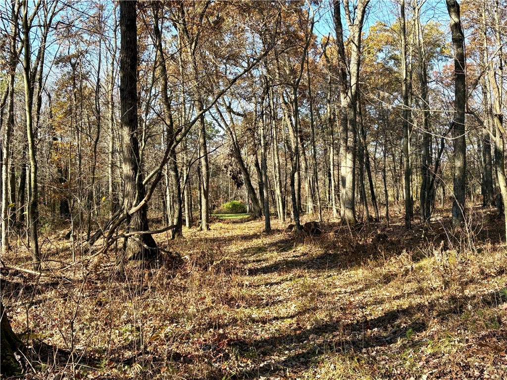 0 N Sand Lane Fairchild WI 54758 1596839 image46