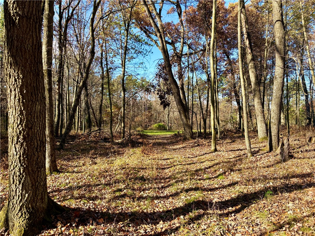 0 N Sand Lane Fairchild WI 54758 1596839 image47