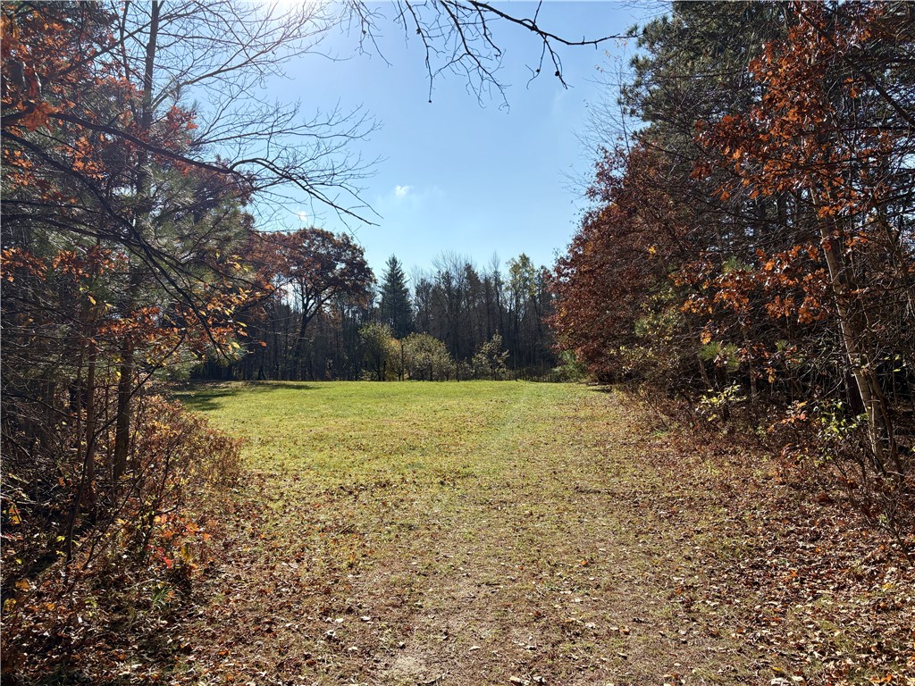 0 N Sand Lane Fairchild WI 54758 1596839 image48