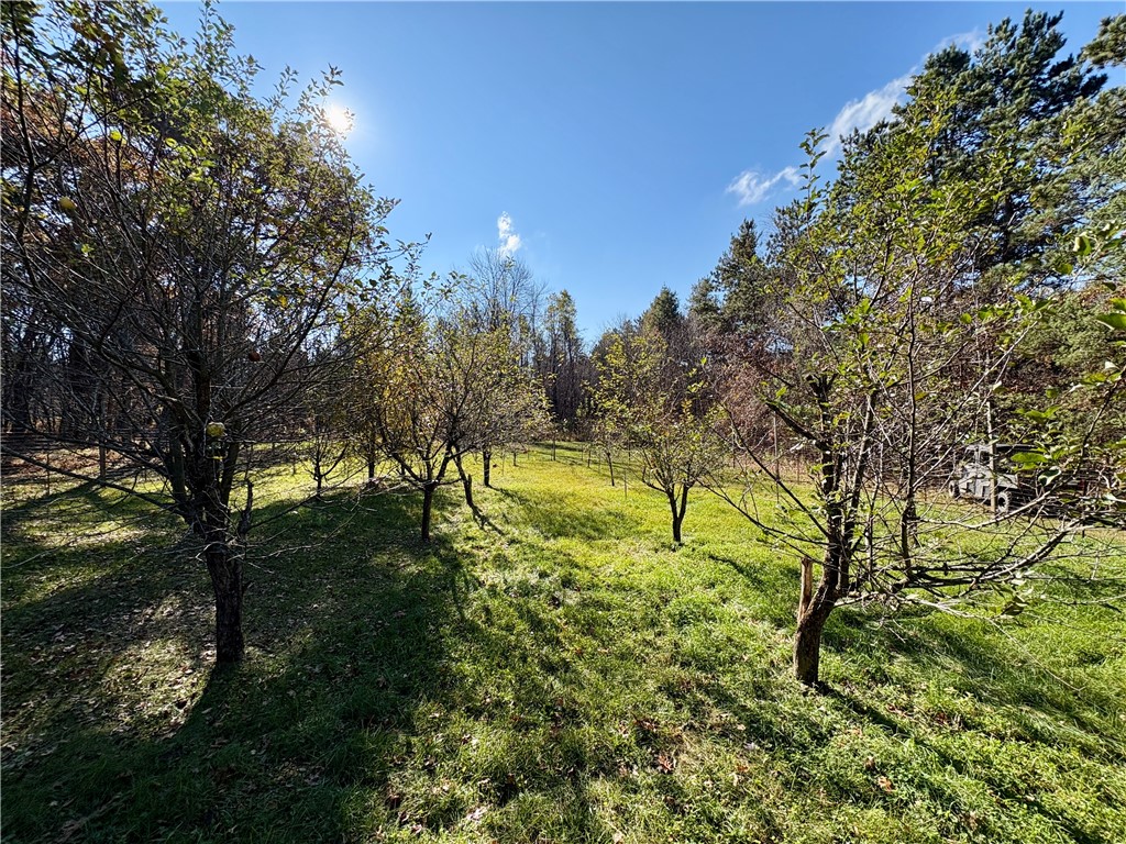 0 N Sand Lane Fairchild WI 54758 1596839 image51