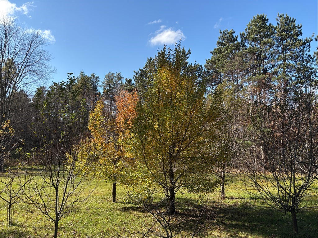 0 N Sand Lane Fairchild WI 54758 1596839 image52