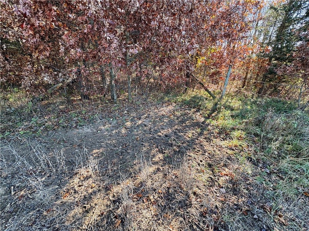 0 N Sand Lane Fairchild WI 54758 1596839 image54