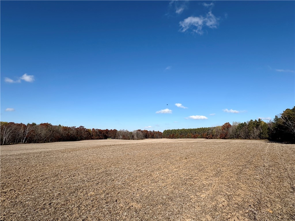 0 N Sand Lane Fairchild WI 54758 1596839 image55