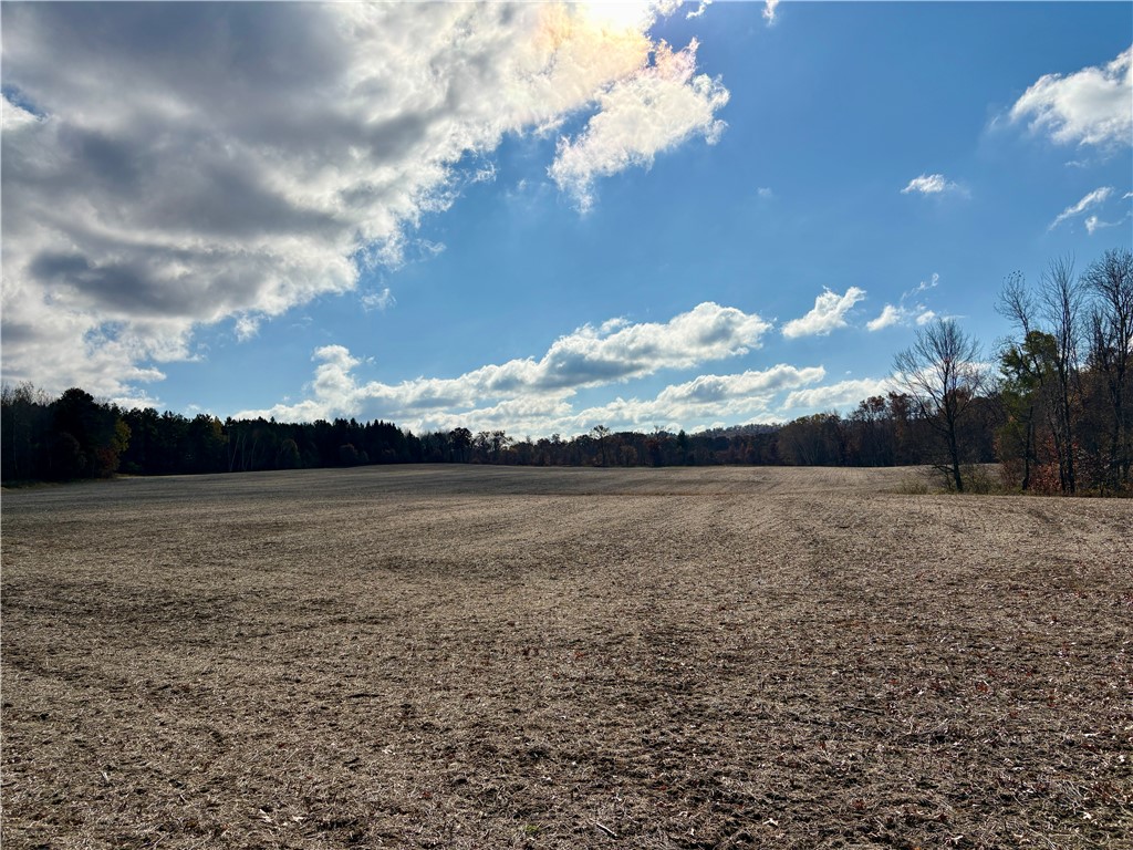 0 N Sand Lane Fairchild WI 54758 1596839 image56