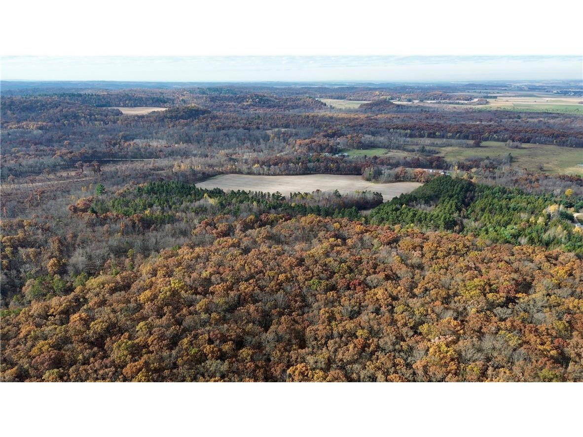 0 N Sand Lane Fairchild WI 54758 1596839 image9