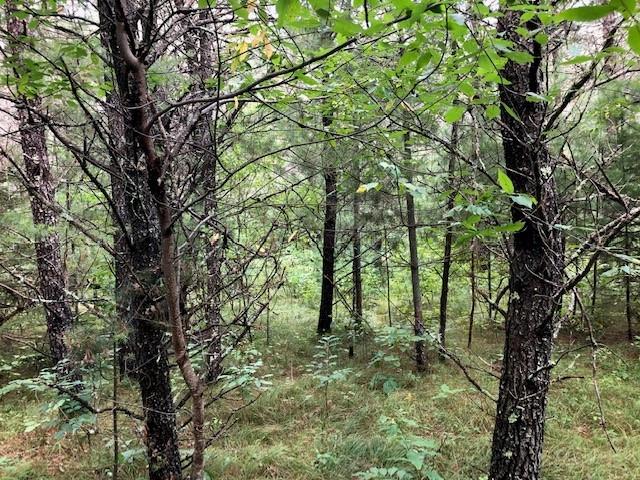 0 N Simons Road Hayward WI 54843 1572724 image1