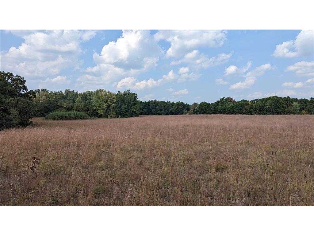 0 Nelson Road Eau Claire WI 54701 - COON CREEK 1577039 image1