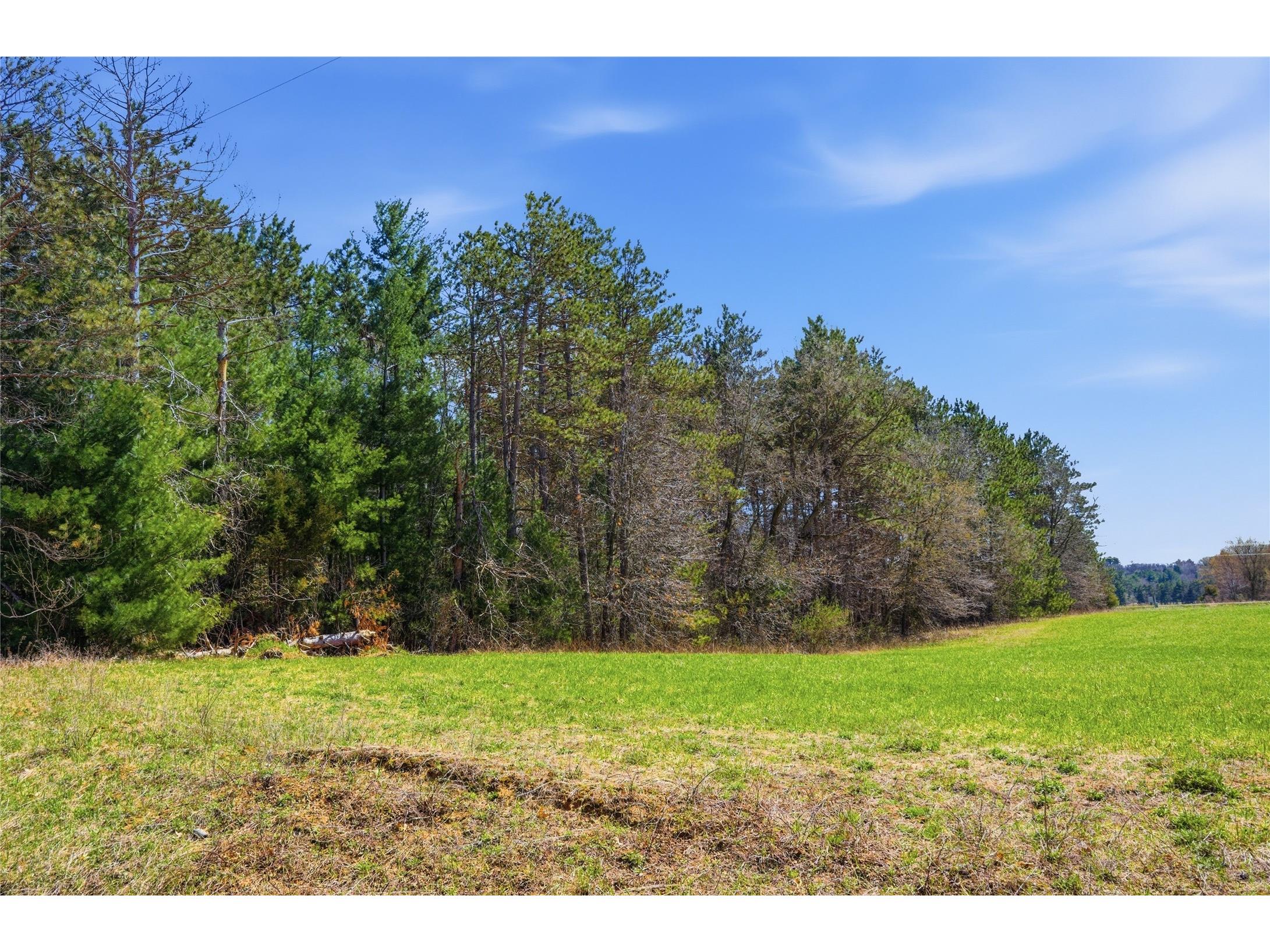 0 Nelson Road And Wi-37 Mondovi WI 54755 1600320 image3