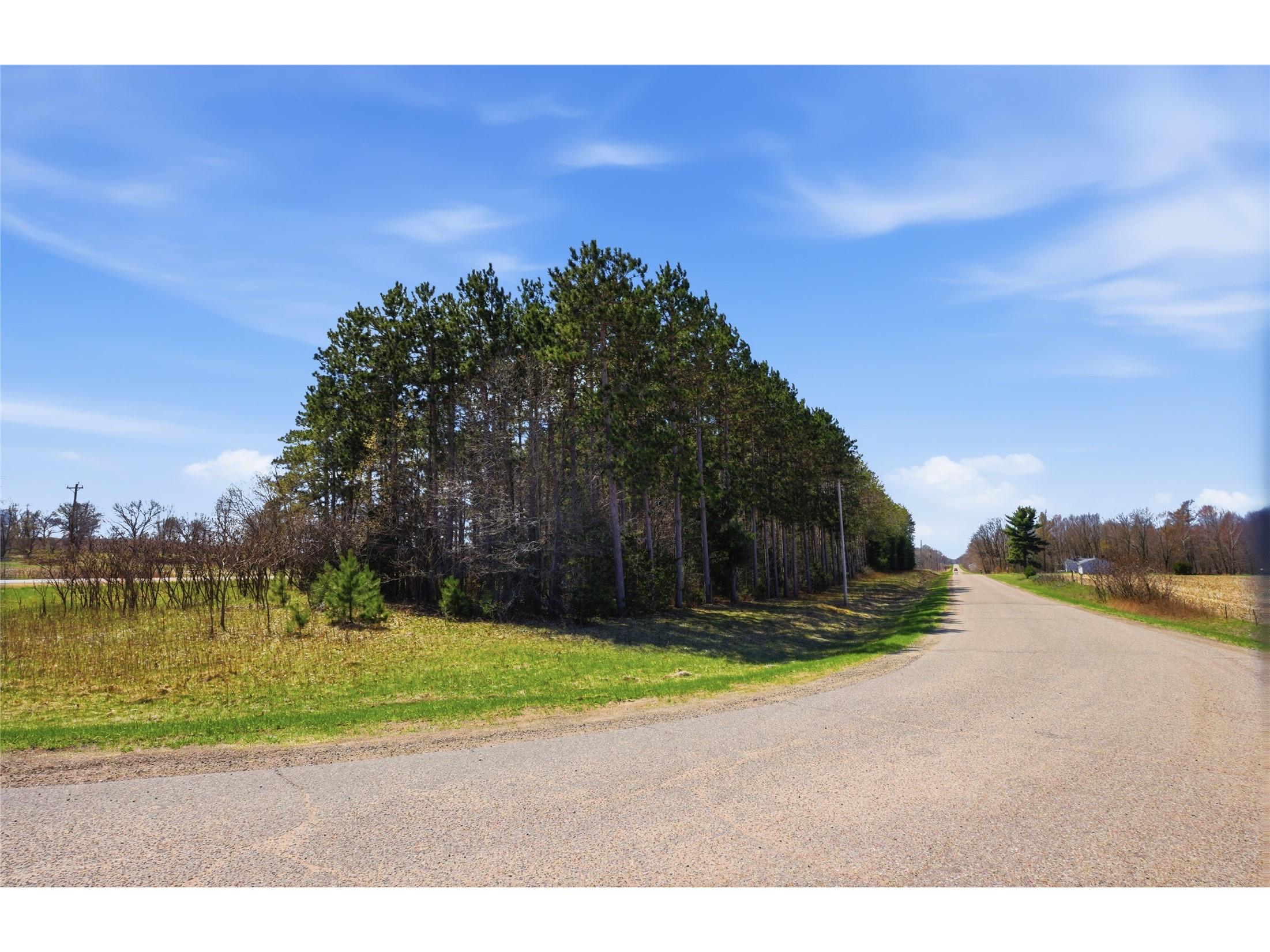 0 Nelson Road And Wi-37 Mondovi WI 54755 1600320 image4