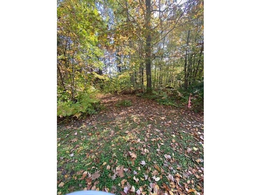 0 Northwoods Trail, Hayward, WI, 54843 MLS 1577411 Edina Realty