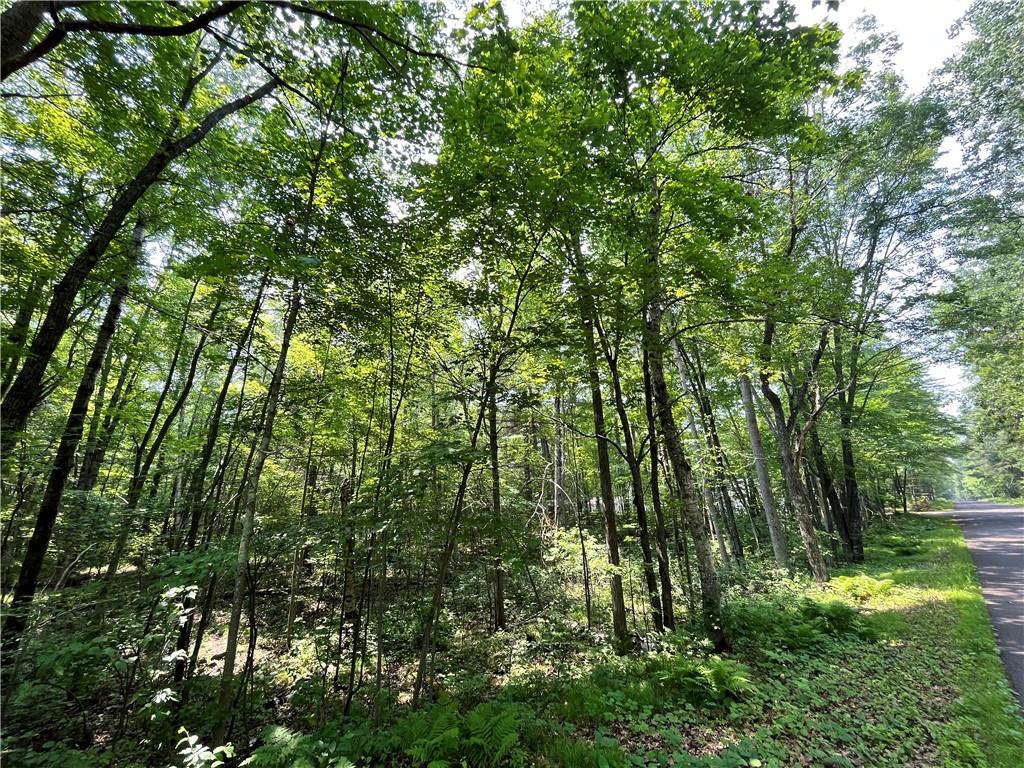 0 Oak Road Hayward WI 54843 1574514 image1