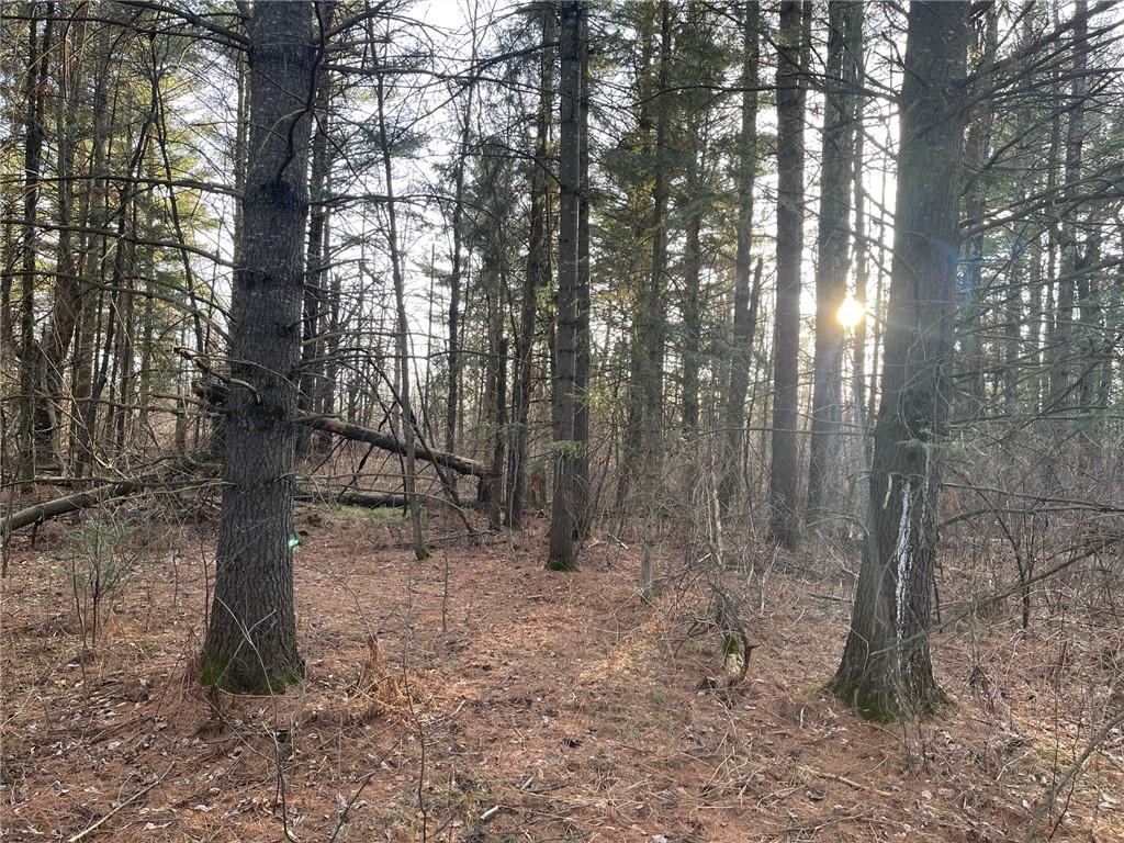 0 Old 14 Road Glen Flora WI 54526 1580227 image1