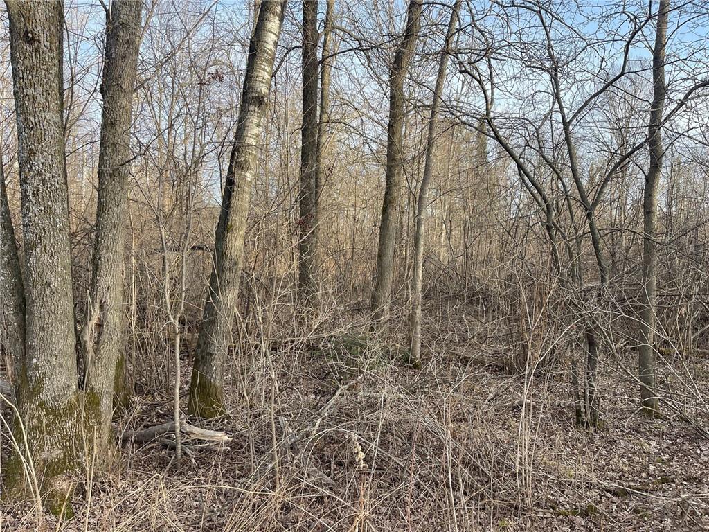 0 Old 14 Road, Glen Flora, WI, 54526 MLS 1580227 Edina Realty