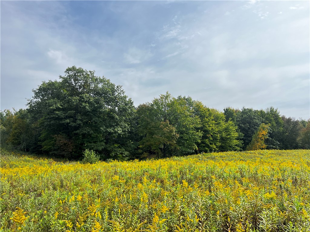 0 Old 14 Road Weyerhaeuser WI 54895 1595532 image1