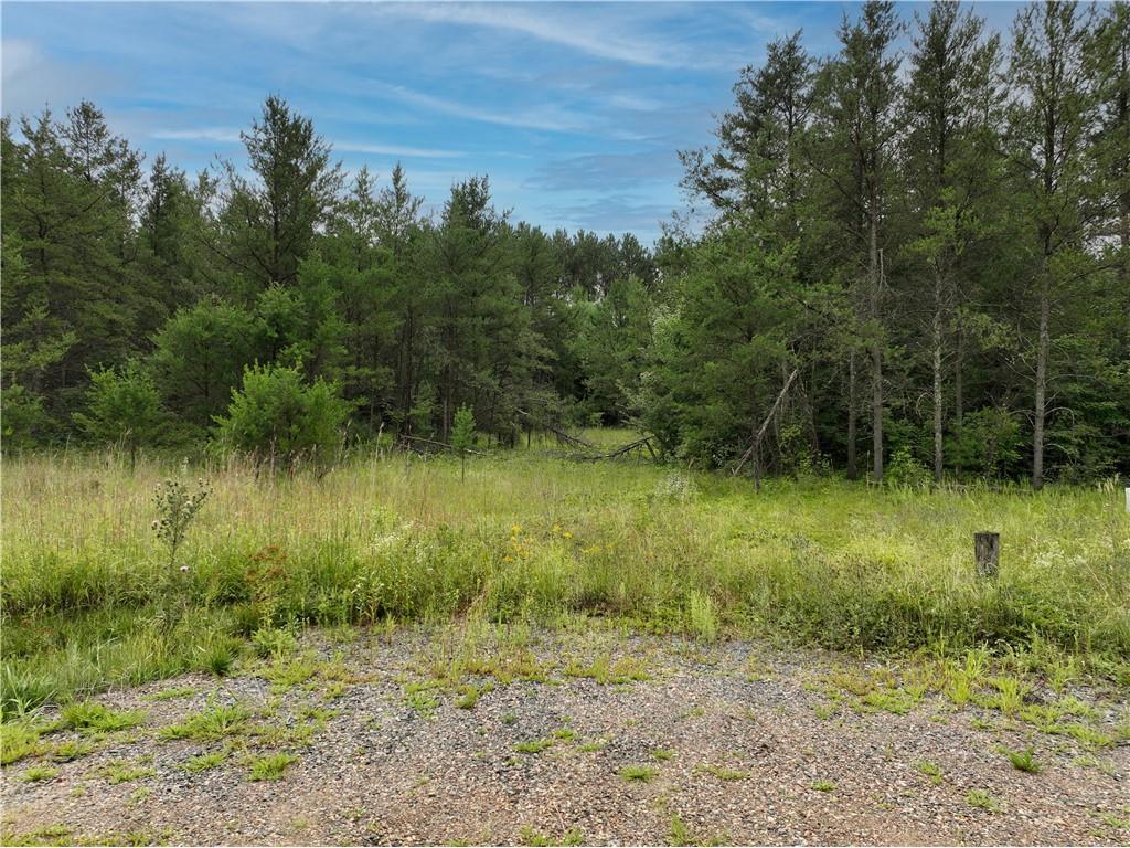 0 Olson Dr, Fall Creek, WI, 54742 MLS 1567910 Edina Realty