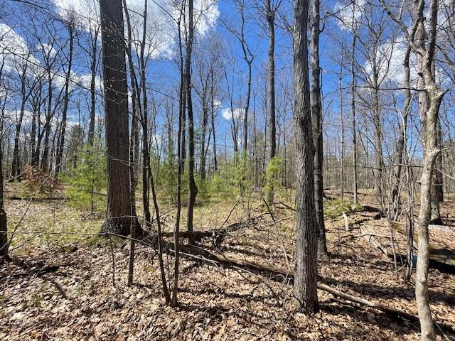 0 Pederson Road Hayward WI 54843 1581694 image1