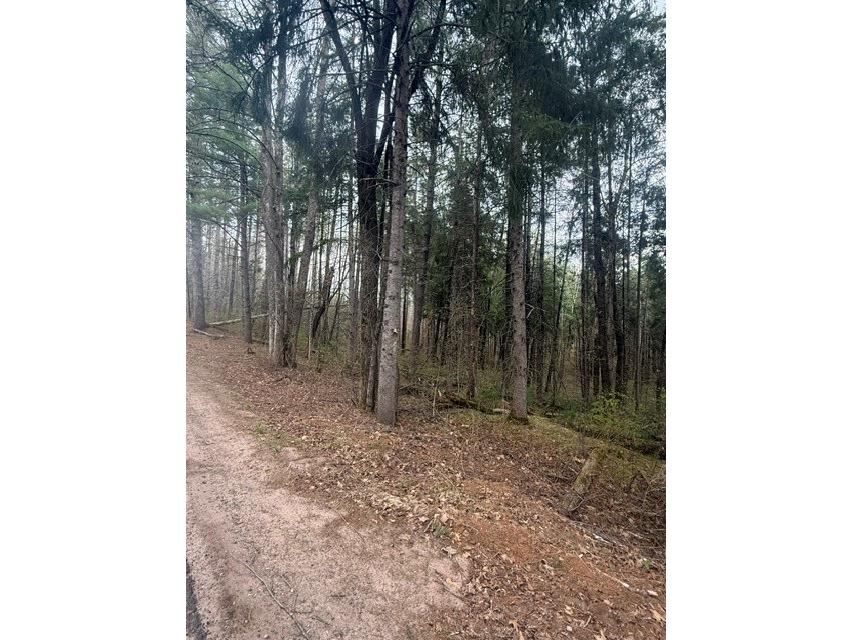 0 Pederson Road Hayward WI 54843 1601162 image10