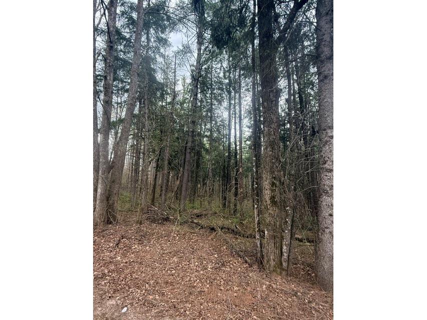 0 Pederson Road Hayward WI 54843 1601162 image11