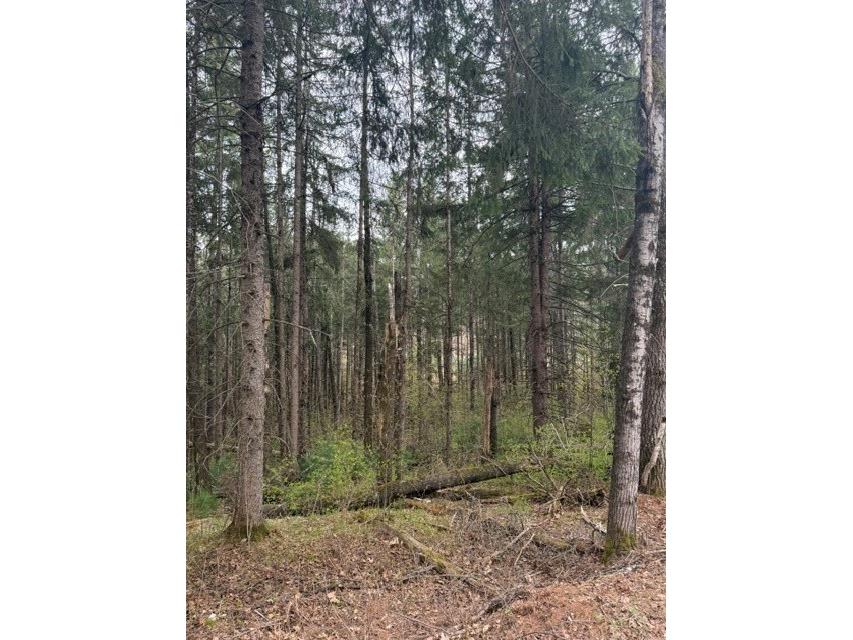 0 Pederson Road Hayward WI 54843 1601162 image2
