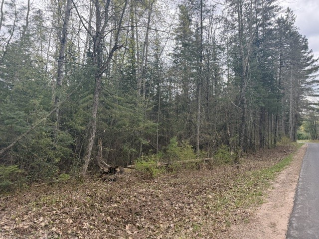 0 Pederson Road Hayward WI 54843 1601162 image4