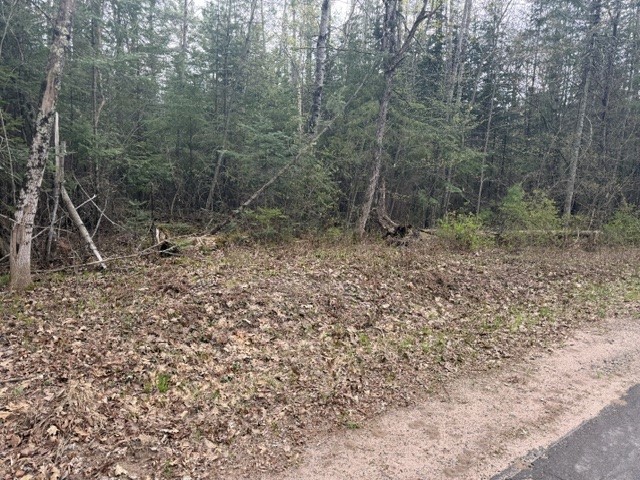 0 Pederson Road Hayward WI 54843 1601162 image5