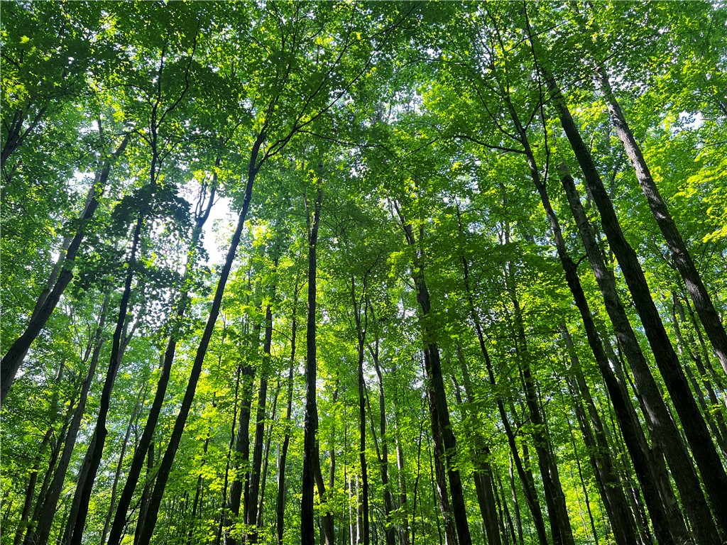 0 Pershing Road Shell Lake WI 54813 1595040 image1