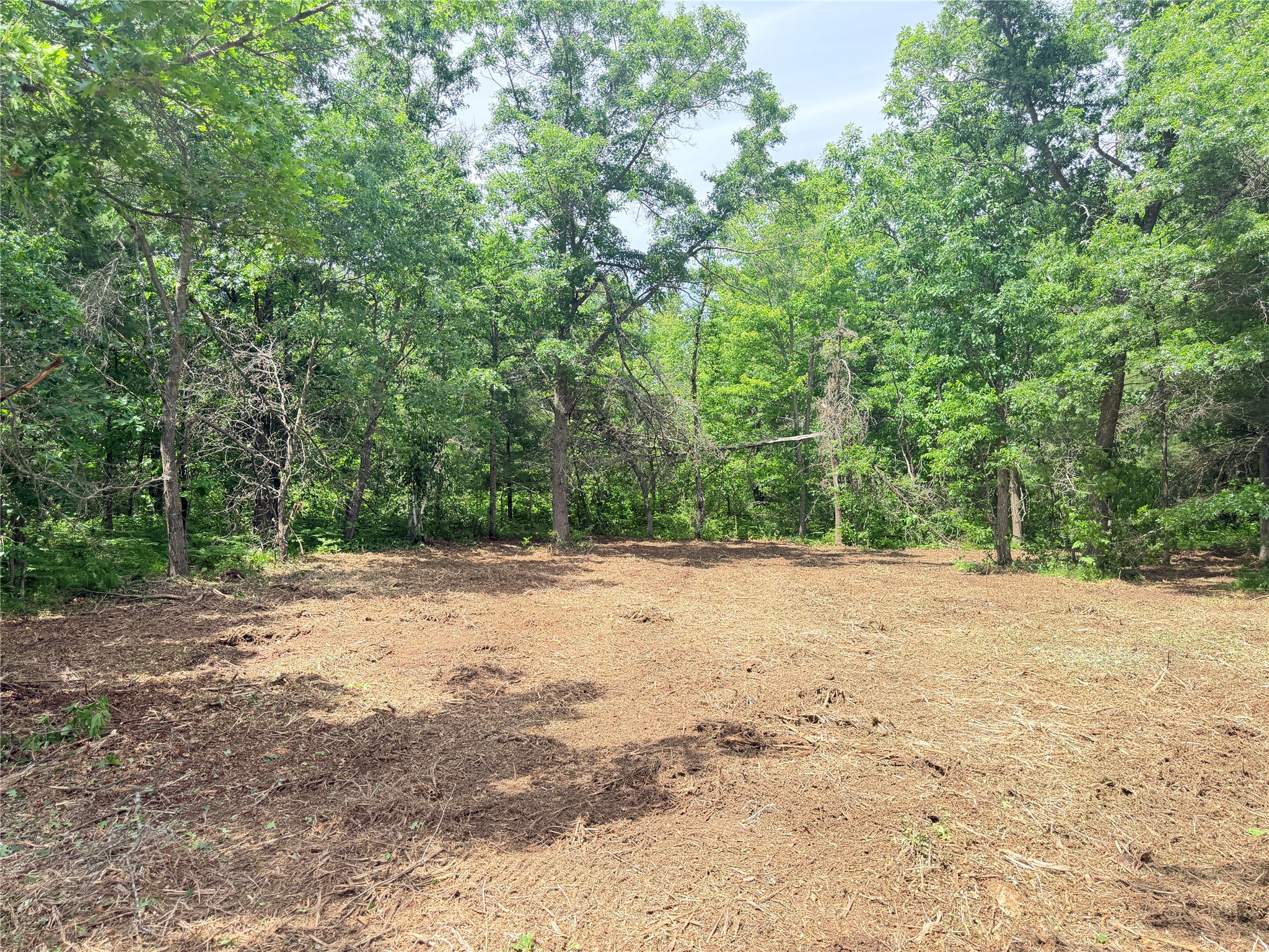 0 Peterson Road Bruce WI 54819 1602343 image1