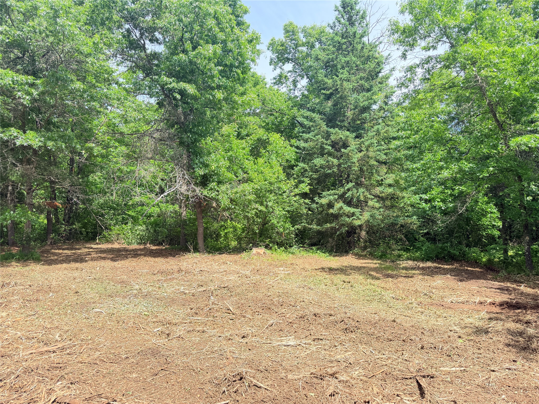0 Peterson Road Bruce WI 54819 1602343 image10