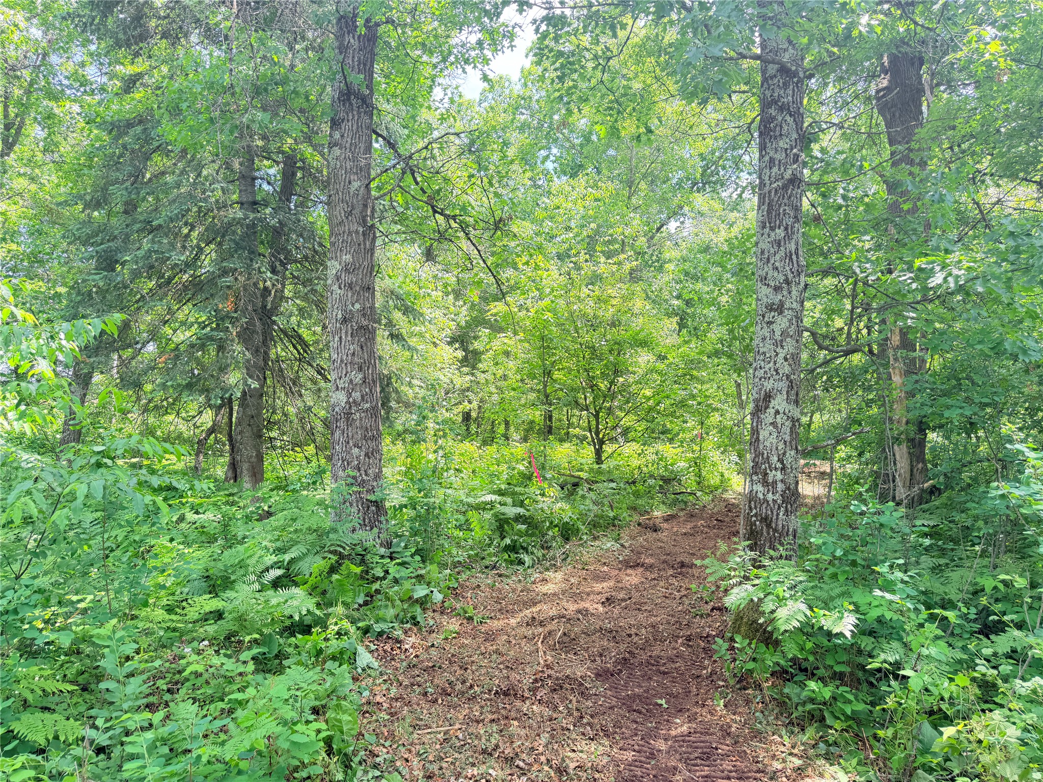 0 Peterson Road Bruce WI 54819 1602343 image12