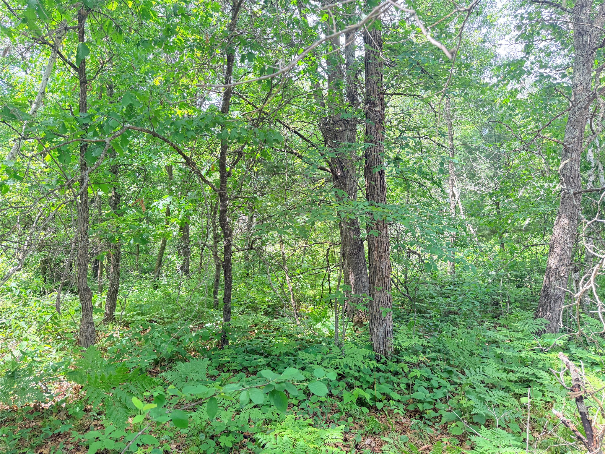 0 Peterson Road Bruce WI 54819 1602343 image18