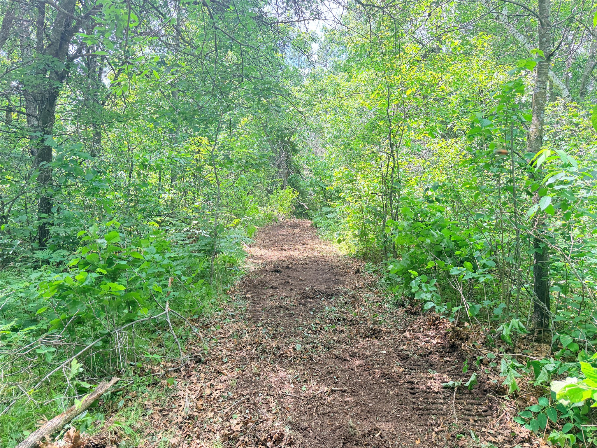 0 Peterson Road Bruce WI 54819 1602343 image3