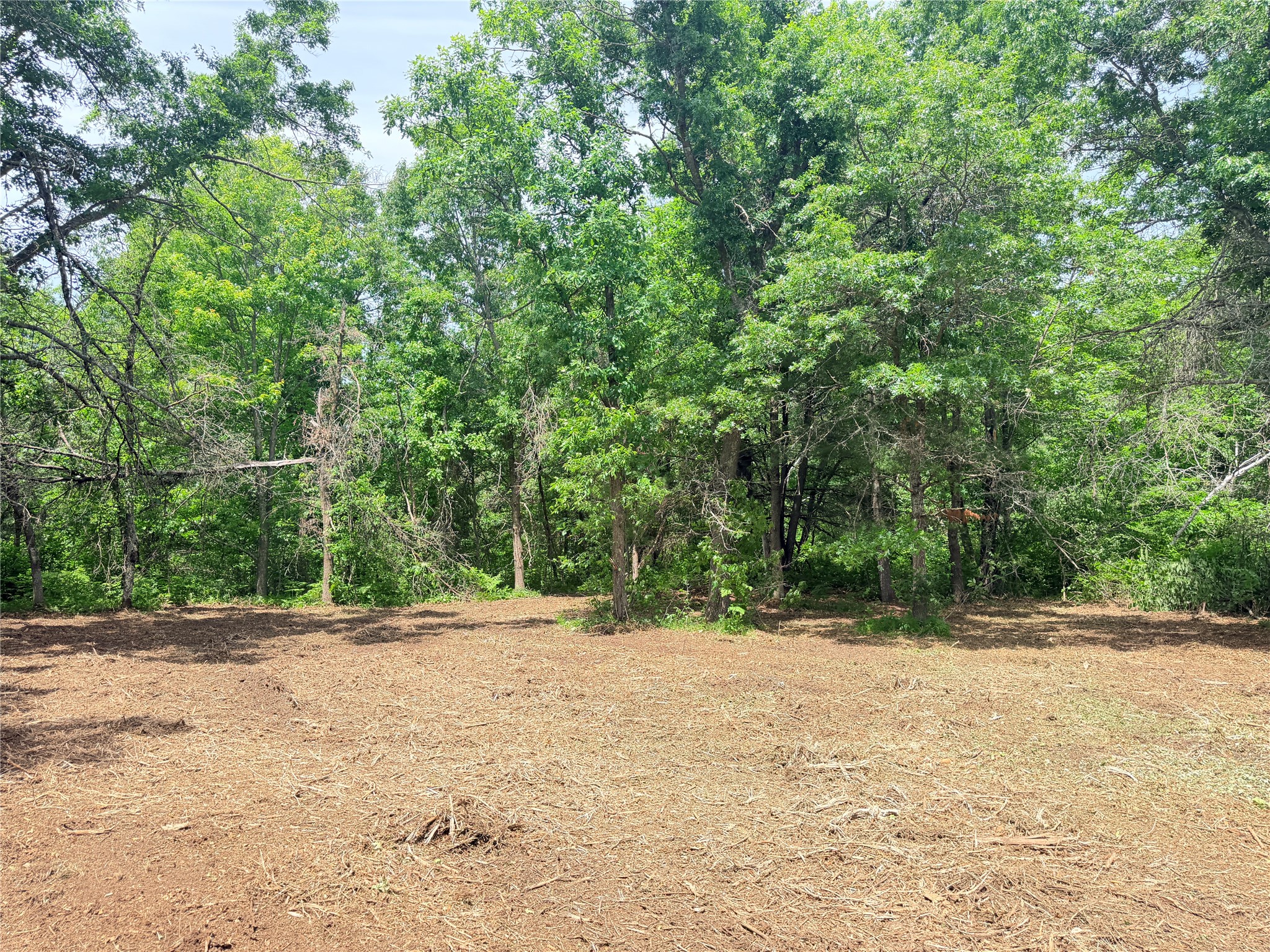 0 Peterson Road Bruce WI 54819 1602343 image6