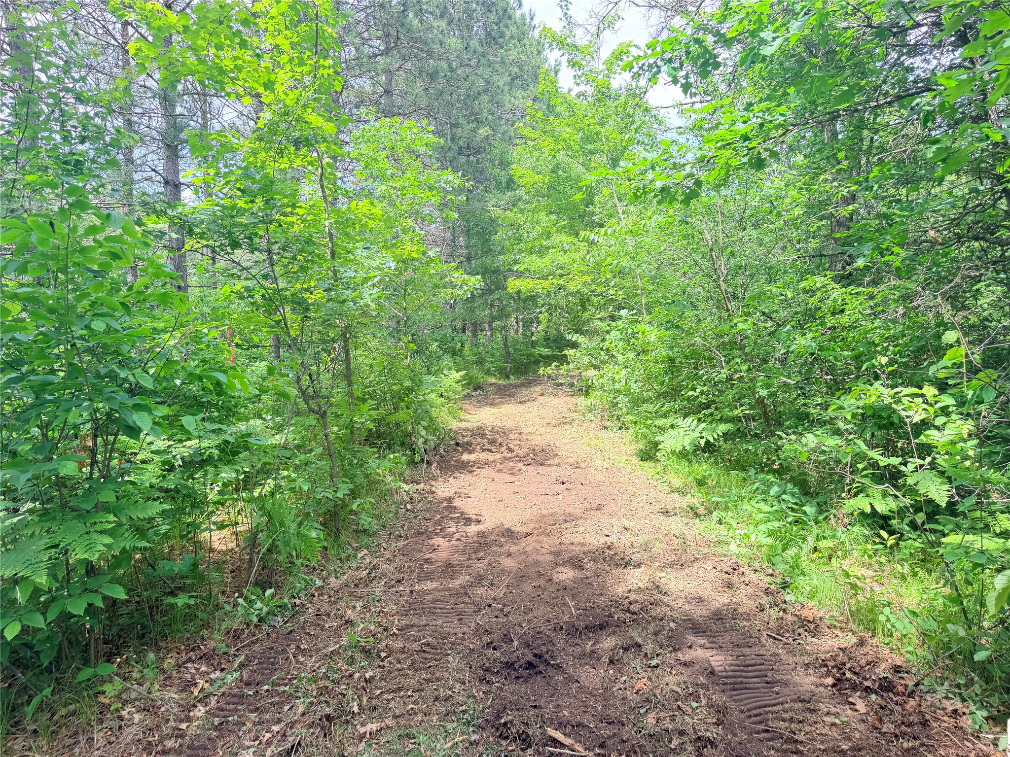 0 Peterson Road Bruce WI 54819 1602343 image8