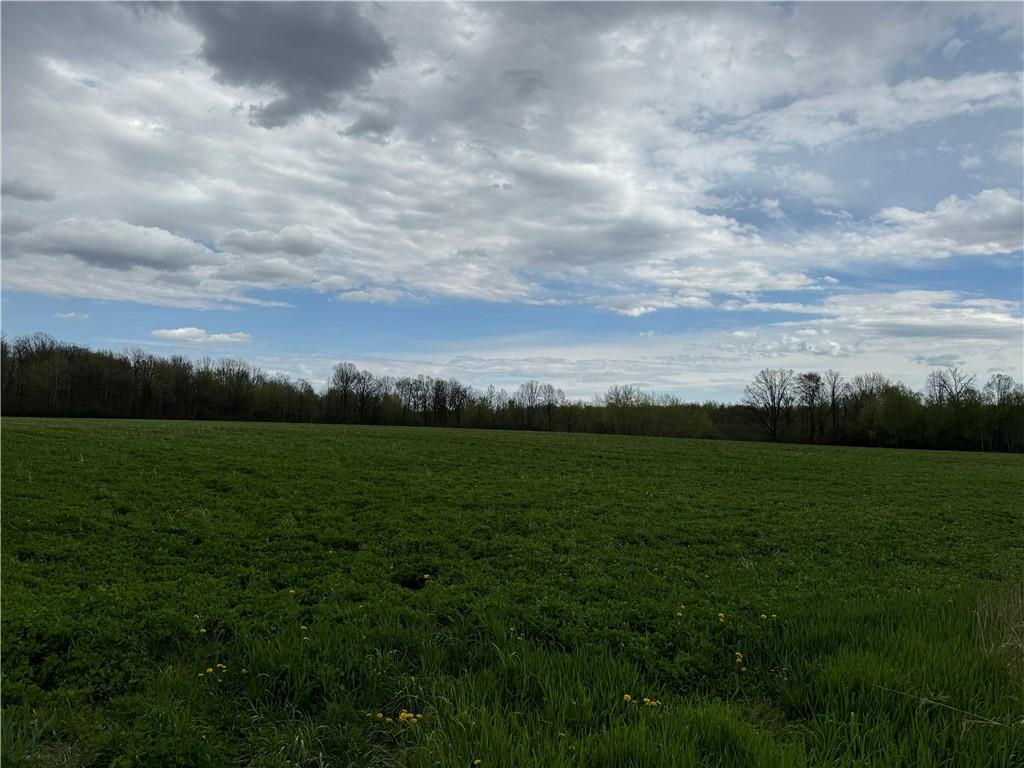 0 Pioneer Road Sheldon WI 54766 1582062 image1