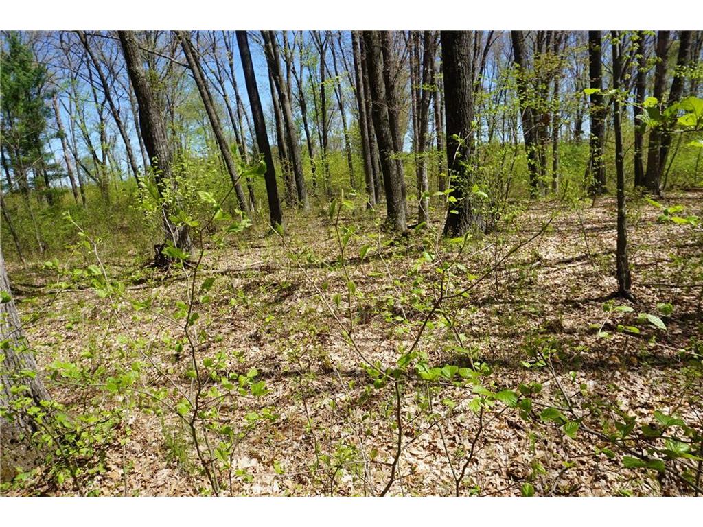 0 Poertner Road Neillsville WI 54456 1582264 image1