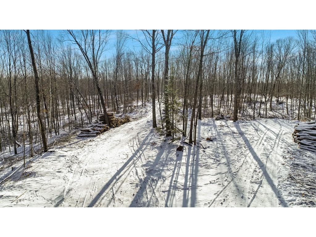0 Pondell Road, Weyerhaeuser, WI 54895 MLS 1564447 Edina Realty