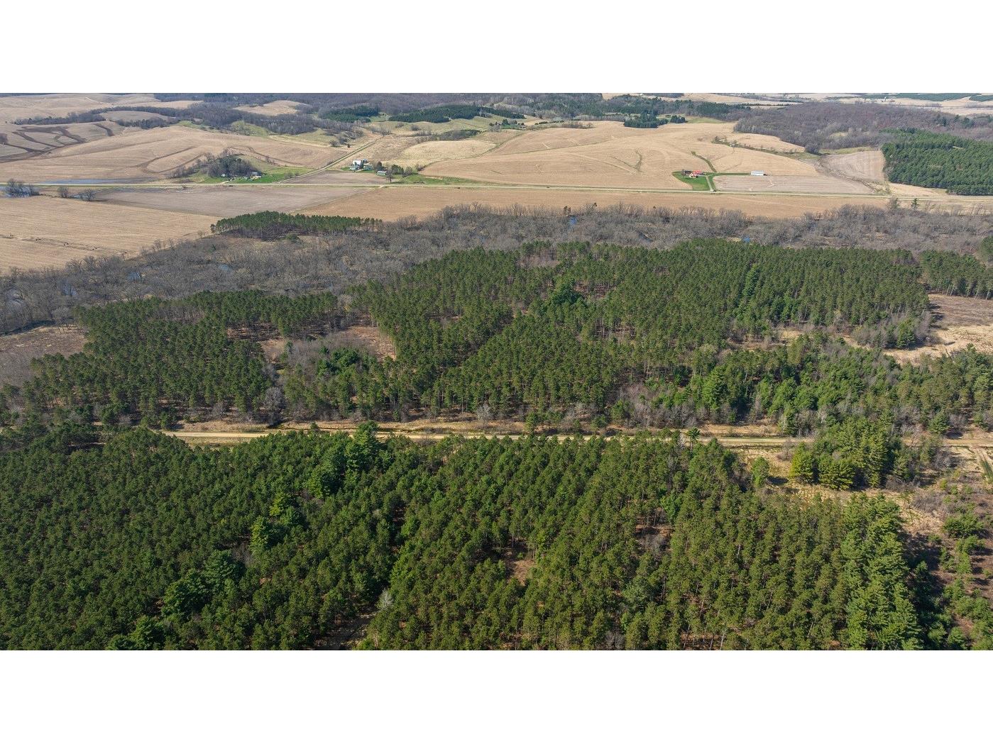 0 Prairie Road E Osseo WI 54758 1600337 image1
