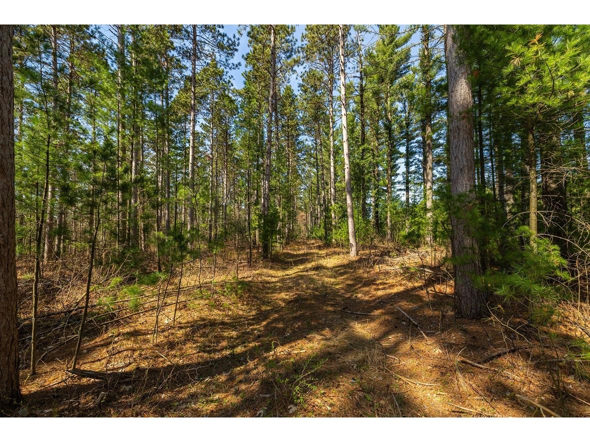 0 Prairie Road E Osseo WI 54758 1600337 image10