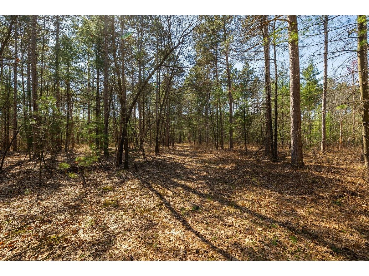 0 Prairie Road E Osseo WI 54758 1600337 image15