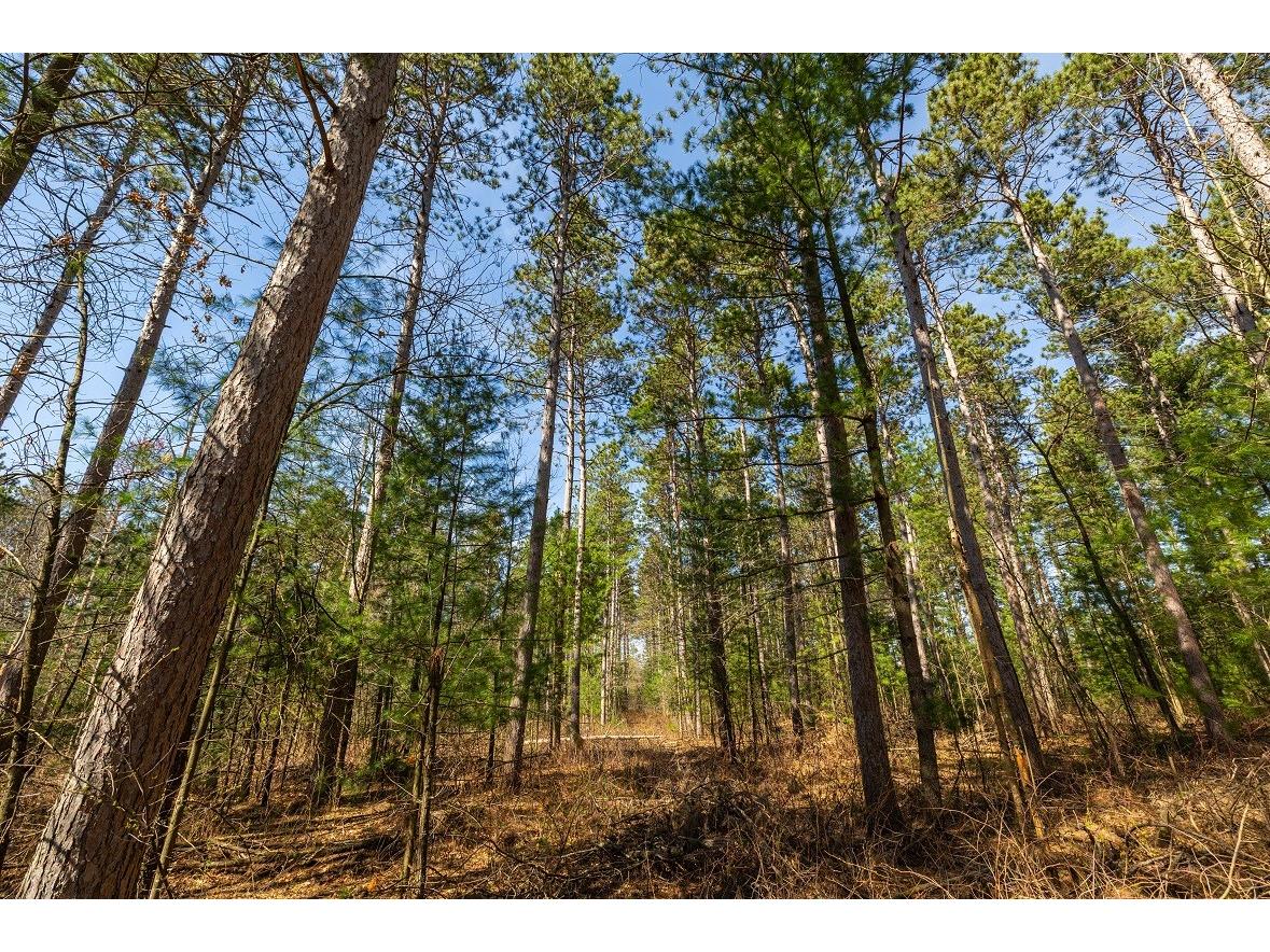 0 Prairie Road E Osseo WI 54758 1600337 image17