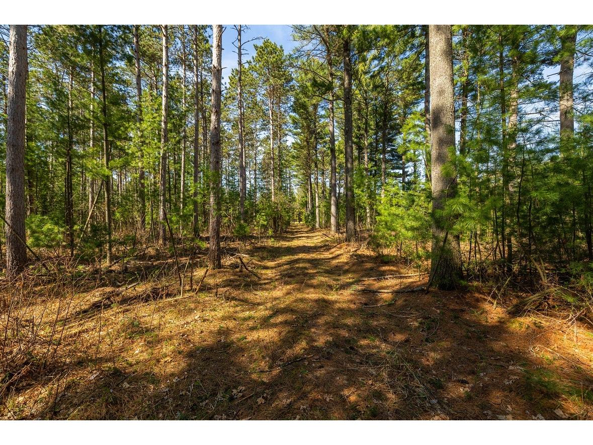 0 Prairie Road E Osseo WI 54758 1600337 image19