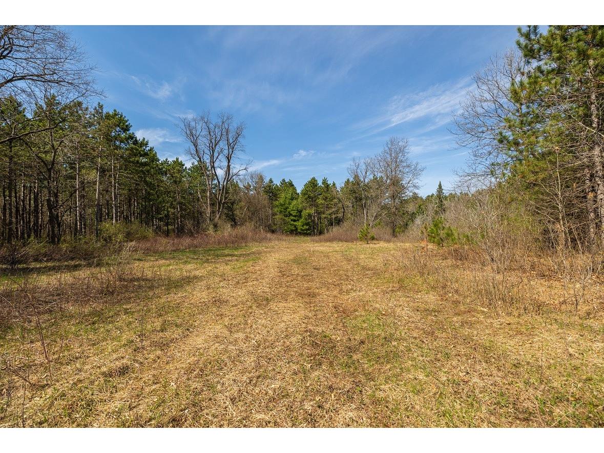 0 Prairie Road E Osseo WI 54758 1600337 image2