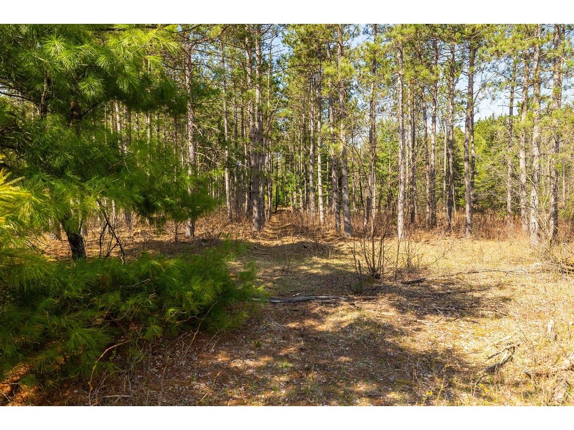 0 Prairie Road E Osseo WI 54758 1600337 image3