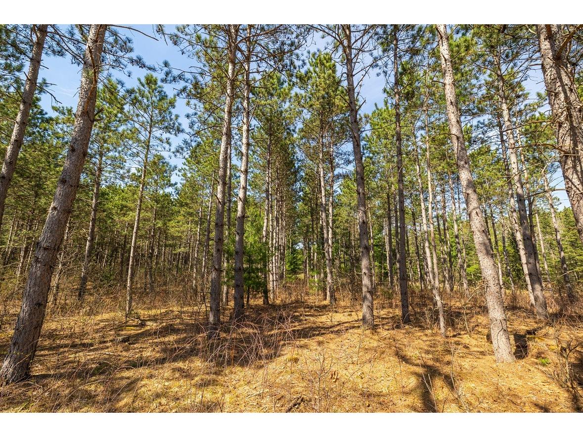 0 Prairie Road E Osseo WI 54758 1600337 image6