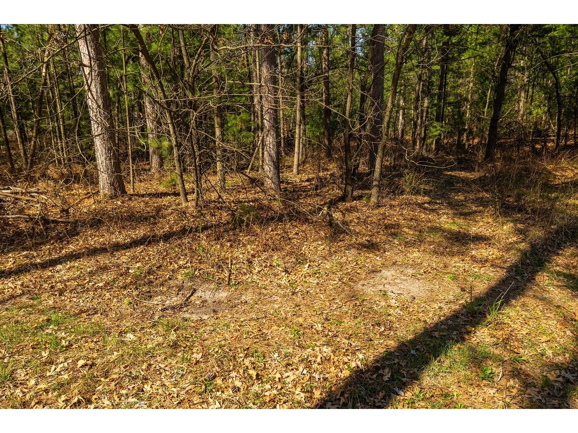 0 Prairie Road E Osseo WI 54758 1600338 image12